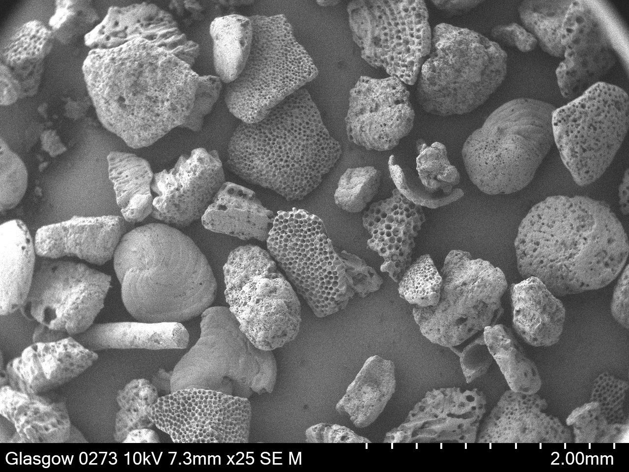Sand in Bahamas